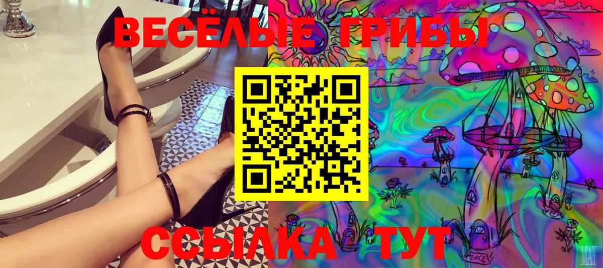Псилоцибиновые грибы GOLDEN TEACHER Тихорецк