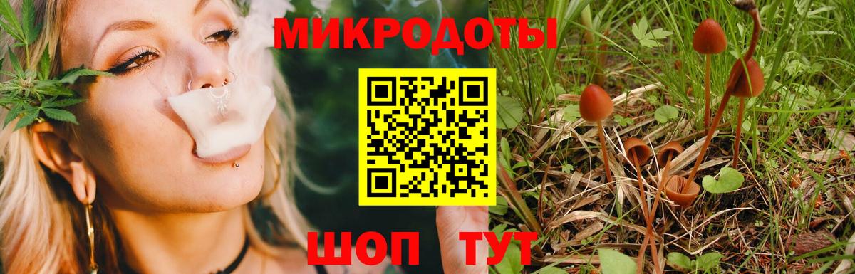 Псилоцибиновые грибы мухоморы  Псилоцибиновые грибы прущие грибы  Вход с VPN  Тихорецк 